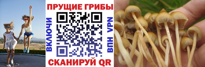 Псилоцибиновые грибы ЛСД  хочу наркоту  ОМГ ОМГ   Углегорск 
